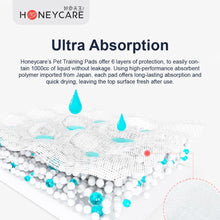 HoneyCare Pet Training Pee Pad