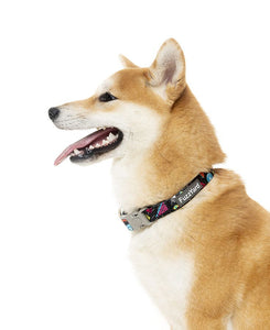 FuzzYard Dog Collar - Bel Air