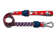 Chewy Leash