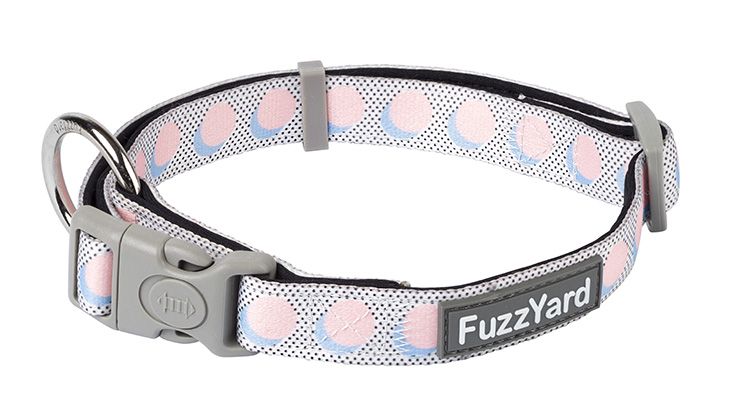 FuzzYard Dog Collar - Dippin'