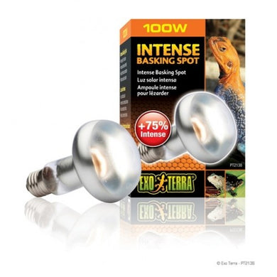 Exo Terra Intense Basking Spot S25 / 100W [PT2138]