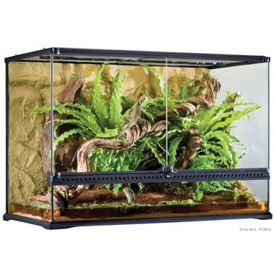 Exo Terra Large Tall Terrarium [PT2614]