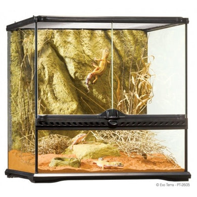 Exo Terra Small Wide Terrarium [PT2605]