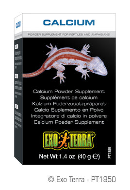 Exo Terra Calcium Powder Supplement