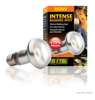 Exo Terra Intense Basking Spot - S20 / 50 W