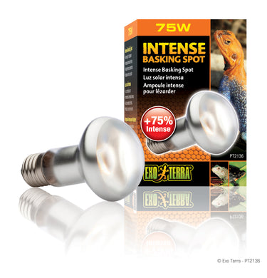 Exo Terra Intense Basking Spot S20 / 75W