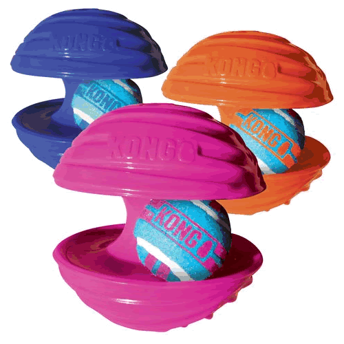 Kong rambler deals ball