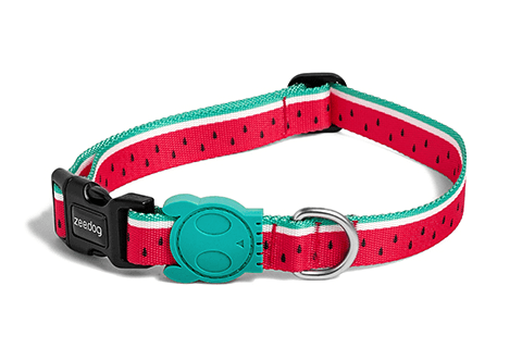 Lola dog collars best sale