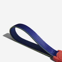Puzzle Ruff Leash