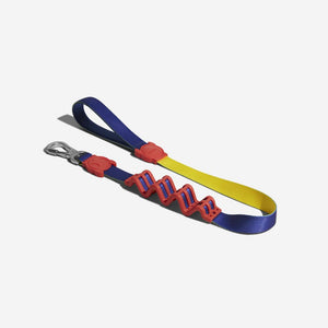 Puzzle Ruff Leash