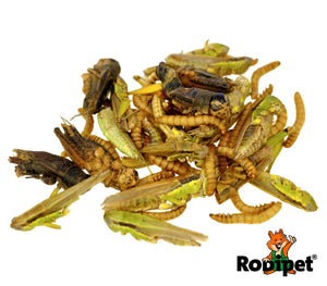 Rodipet® Insect Mix Protein Snack 50g