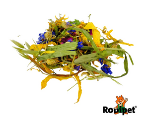 Rodipet® Nature's Treasures Flowering Meadow 130g