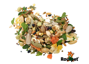 Rodipet® Organic Dwarf Hamster Food “SENiOR” - 500g