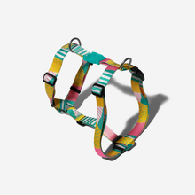 Salina H-Harness