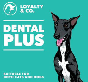 Loyalty & Co. Dental Plus 70g