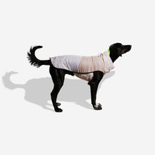 Zee.Dog Raincoat - Oatmeal