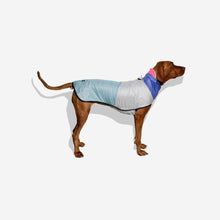 Zee.Dog Raincoat - 90's