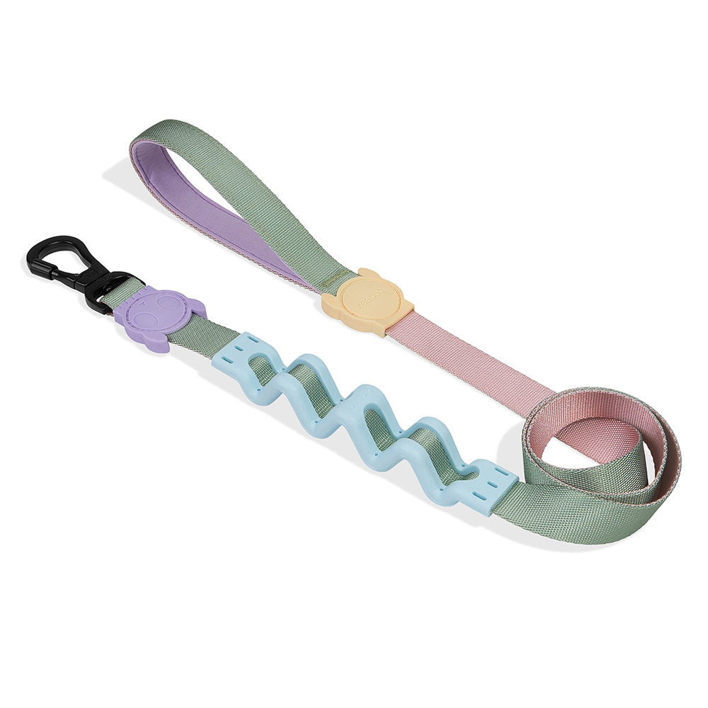 ZeeDog Peach Ruff Leash – SgPetstop