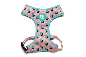 Polka Air Mesh Harness