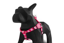 Pink Skull Step-In Harness