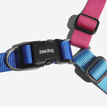 Cooly Soft-Walk Harness