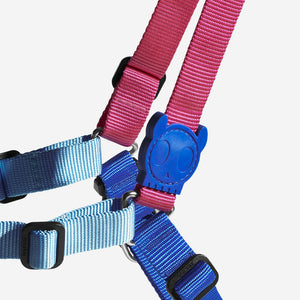 Cooly Soft-Walk Harness