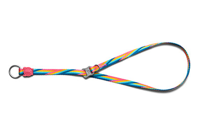 Bowie Obedience Collar
